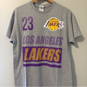 Gray Los Angeles Lakers LeBron James T-Shirt